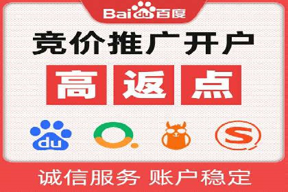 SEM投放策略优化案例分析